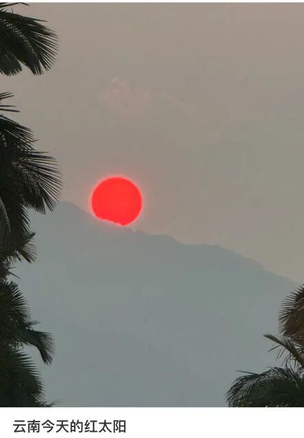 2025年网友社交媒体截图