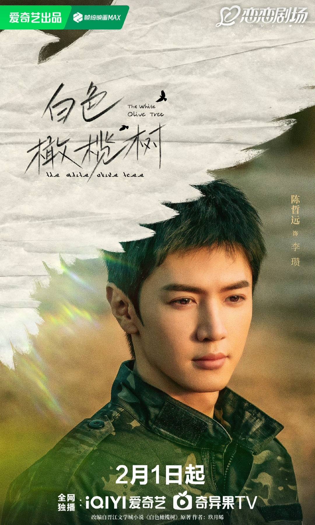 白鹿感恩陈哲远祝福，力荐《白色橄榄树》！