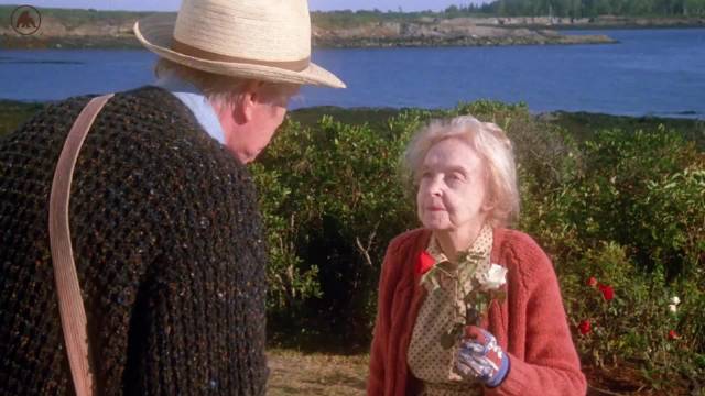 失明莉贝与姐姐萨拉的海岛相依岁月