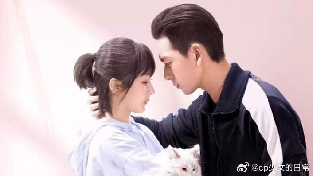 韩商言带佟年逛海洋馆，两人感情进一步升温