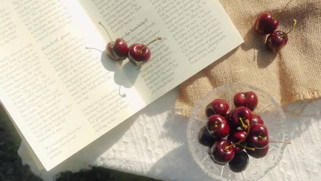 梦想与宽容照亮人生之路