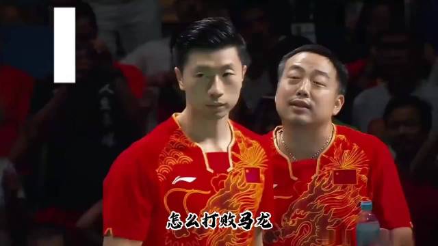 龙獒大战，都说马龙克制张继科，但打疯了的藏獒，谁都不怕