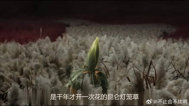 腾蛇表白被拒，逍遥心里另有其人