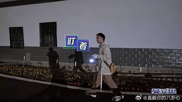 杨迪大笑，狗狗狂追，一场欢乐的逃跑大戏