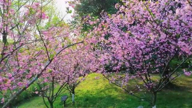 精力充沛的秘诀在于小事不纠结