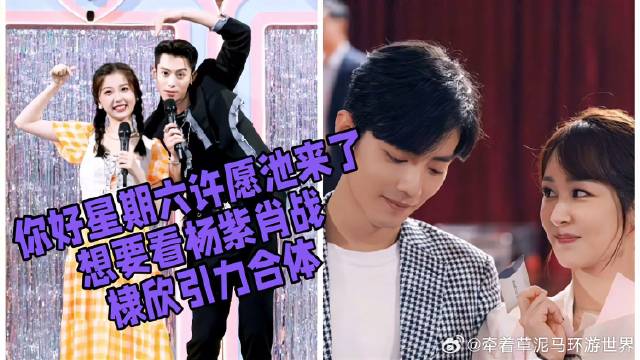 《你好星期六》 许愿池来了，想要看杨紫肖战，棣欣引力合体