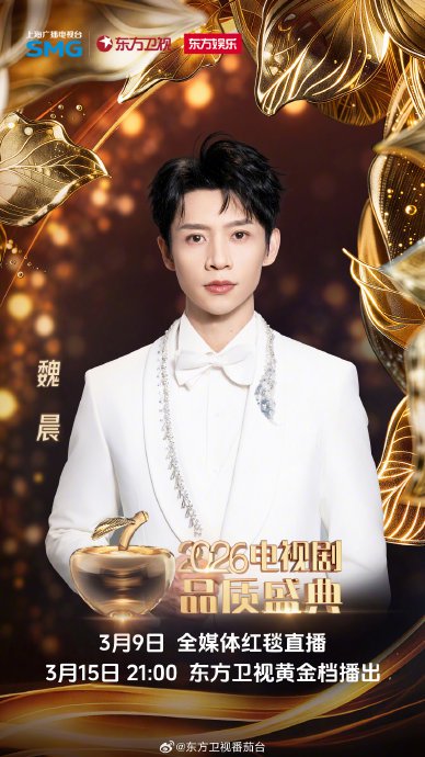 魏晨在近期的电视剧品质盛典上具体穿了什么造型？