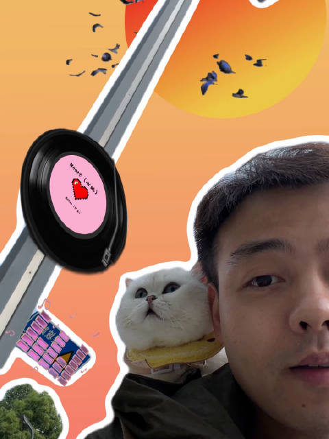 刘涛与爱宠晚晚相伴8年共看世界