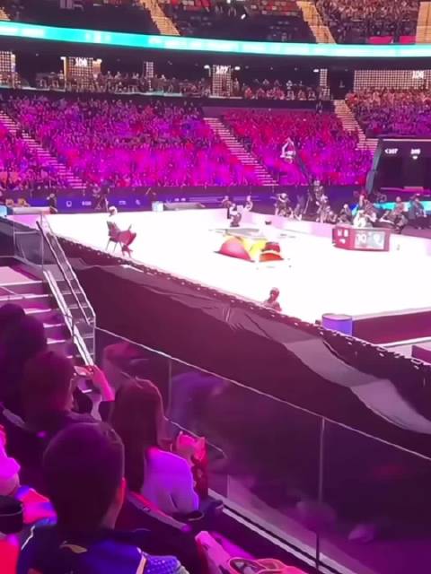 孙颖莎逆转王曼昱夺冠，林高远不敌马龙