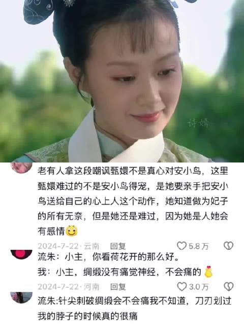试问卷帘人，却道海棠依旧，知否？知否？应是绿肥红瘦， 甄嬛传