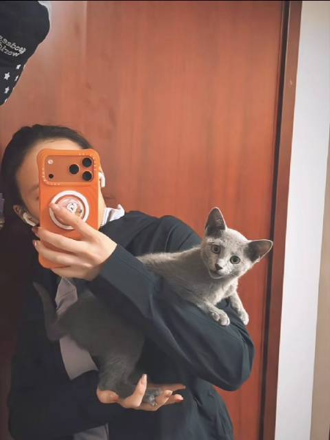 陈芋汐分享训练生活，专注与猫相伴