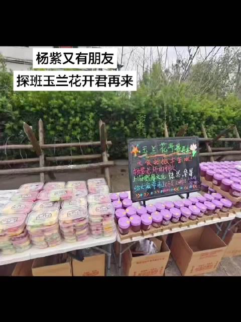 杨紫出席玉兰花开君再来活动