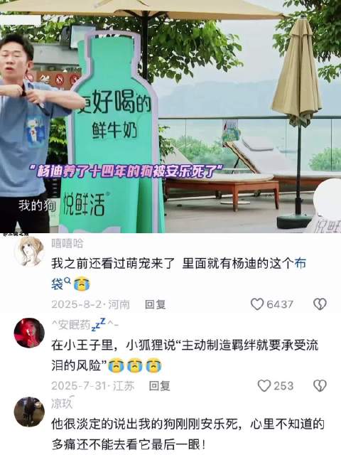 从养宠物那刻起，心里就埋下了一颗悲伤的种子