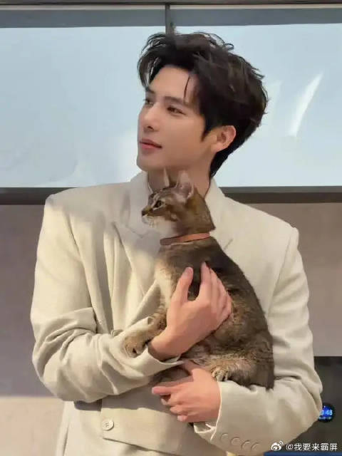 前些日子带DD参与拍摄的艺人：王安宇