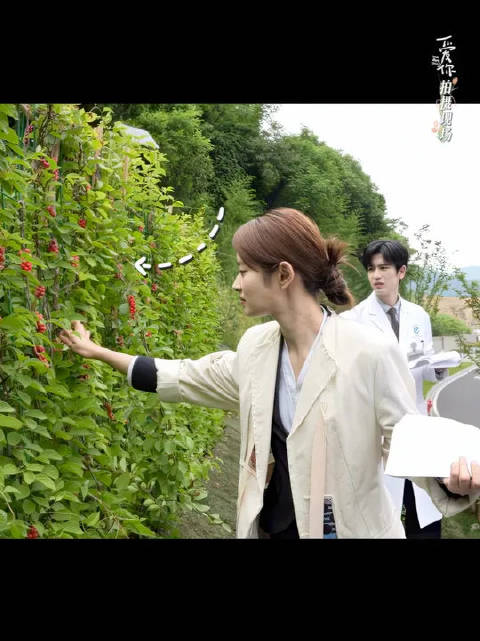 五味子的味道，谁吃谁知道