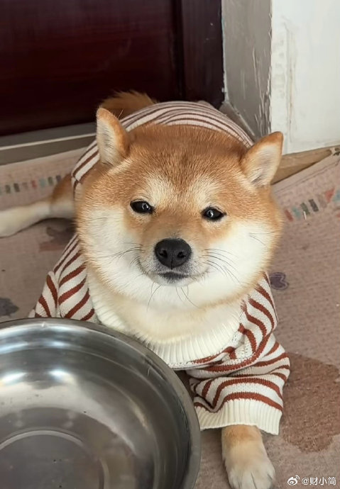 为什么papi酱作为公司CEO吐槽职场文化会引起巨大共鸣？