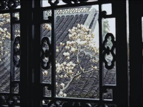 秦东魁谈人生心安之道，经历悲喜方得真谛