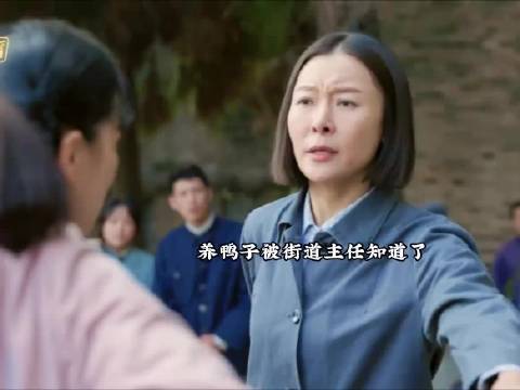 梅婷田雨新剧演绎特殊年代养鸭风波