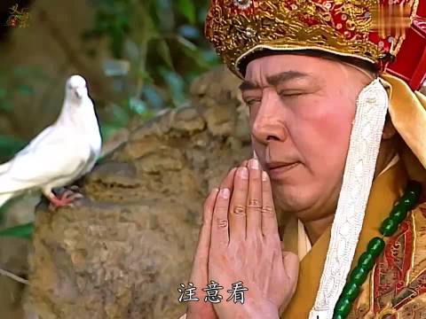 西游记2:金池圣僧本来忘记了自杀的想法，不料被赶来的沙僧神助攻.