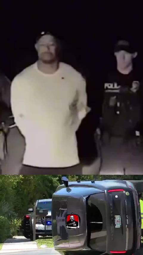 泰格·伍兹翻车被捕