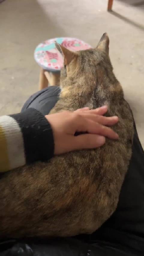 你们太伤仔仔的心了