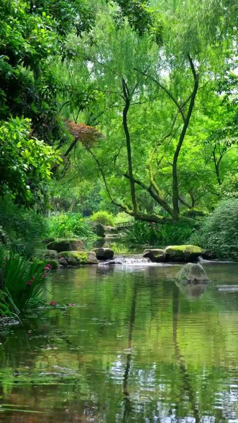 春风拂过，万物温柔苏醒， 目之所及皆是生机，心也跟着澄澈明朗