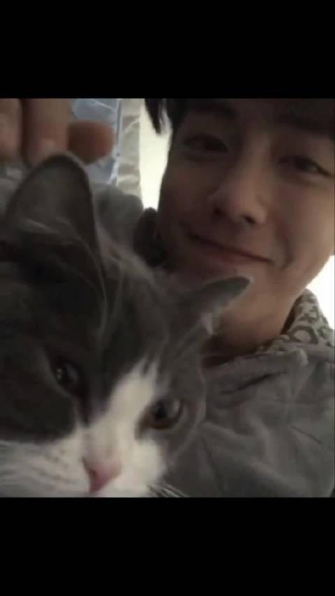 你比猫猫可爱呦