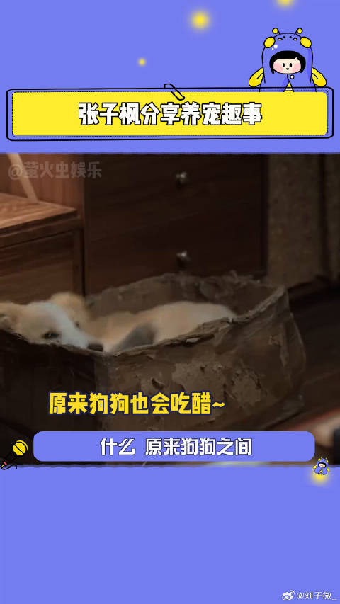 电影我会好好的微博VC计划
