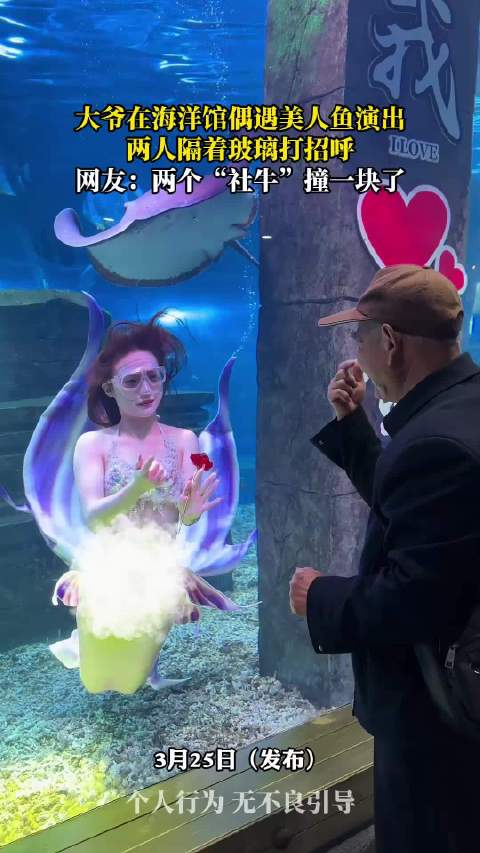 大爷海洋馆与美人鱼隔玻璃互动引围观