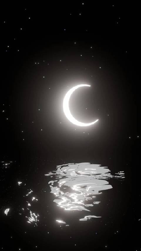 New Things｜Jolin Fish Love 慕夏卡牌