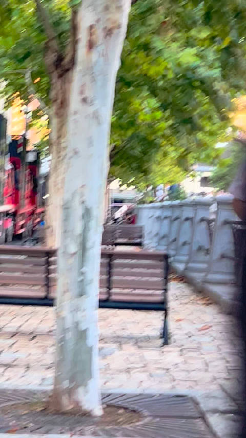 悄悄放一只暑假偶遇的小拖把