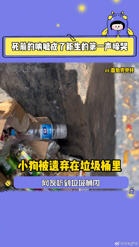 好感动！爱护小动物的朋友们真的配享太庙！救赎 感动 微博VC计划