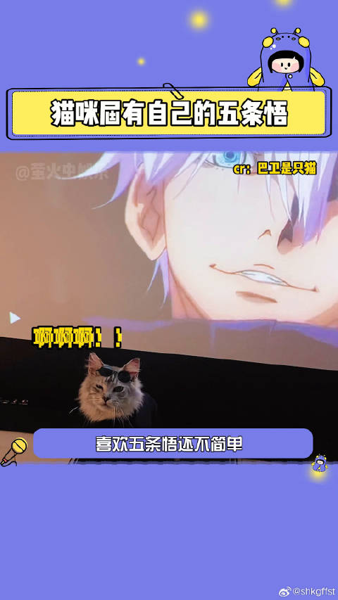 好酷的猫咪！谁家还没个五条悟了~五条悟 萤火虫安利机