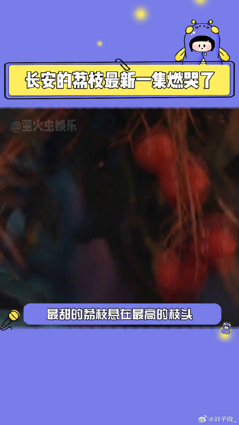 电视剧长安的荔枝长安的荔枝