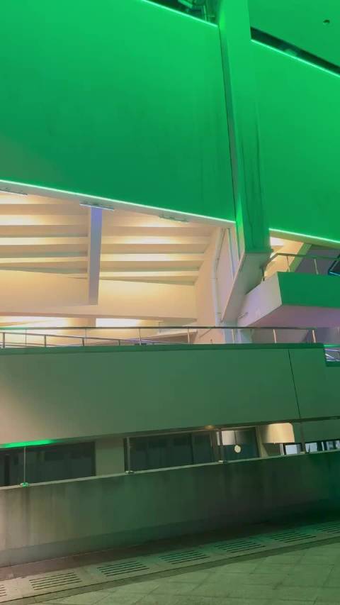 丁禹兮渡情彩排现场引粉丝尖叫