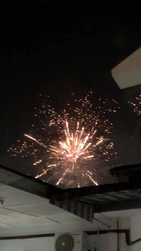 这个三月废废的我除了和小猫还是和小猫