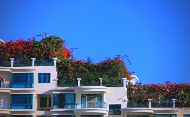 在三亚的慢生活:气候、物价与宁静探索