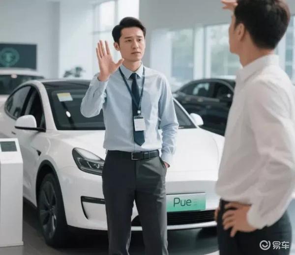 纯电车并非人人适合，原因在这儿