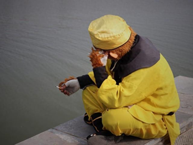 猴哥“转世”到峨眉山了_华珍0