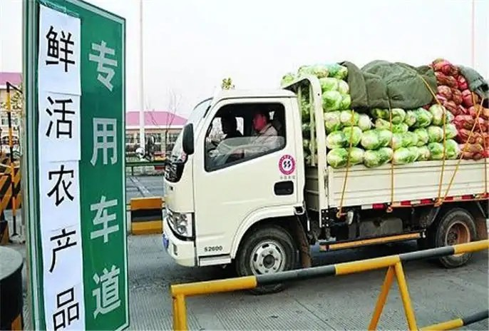 去叶莴笋不算莴笋?究竟哪些农产品能享受“绿通”?