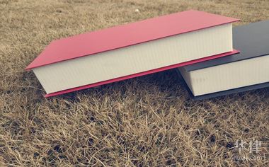 饮酒后驾驶网约车会怎么样