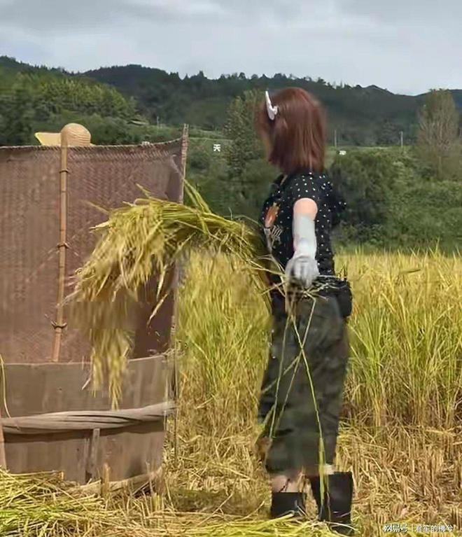 杨超越田间打谷子太拼，全程不矫情不喊累，别人演体验她真干活