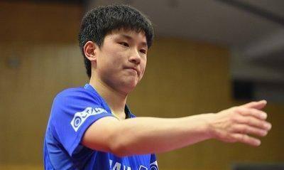 80万欧太揪心！张本智和举家离日，这步棋藏着多少心酸？