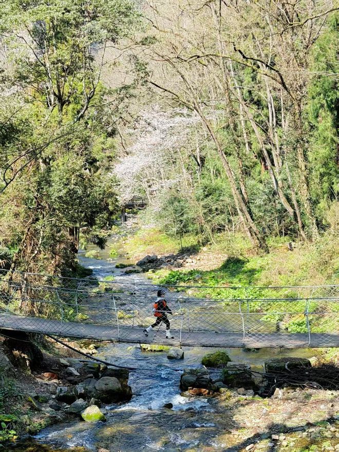张家界五日游最佳路线｜解锁阿凡达秘境 + 云海