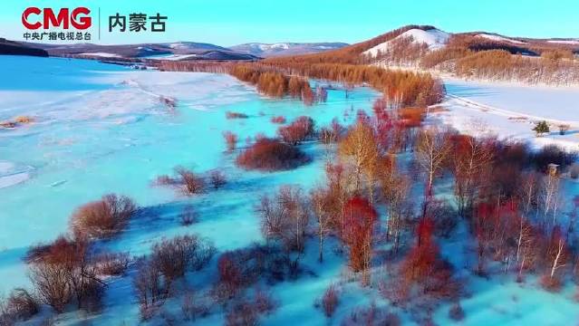 内蒙古蓝冰红柳相映成趣，肖战歌声伴美景