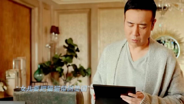 以为他舍不得的是女儿，没想到是舍不得猫猫