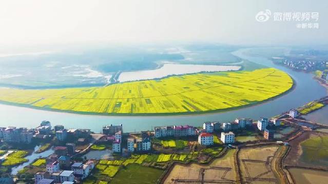 江西余干千亩油菜花绽放，王一博歌声伴春景