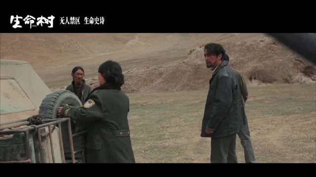 白菊杨紫 的坚守，是刻入骨血的执念，是柔肩扛起山河的赤诚