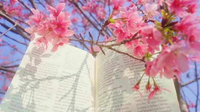 冰河解冻万物苏醒，春天带来光与芬芳