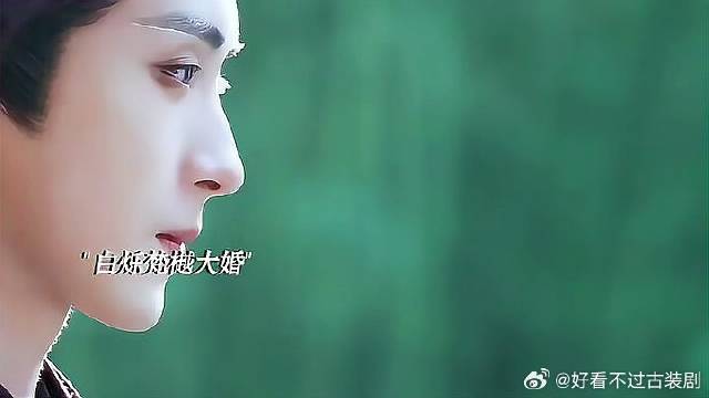 白月梵星番外，白烁梵樾大婚